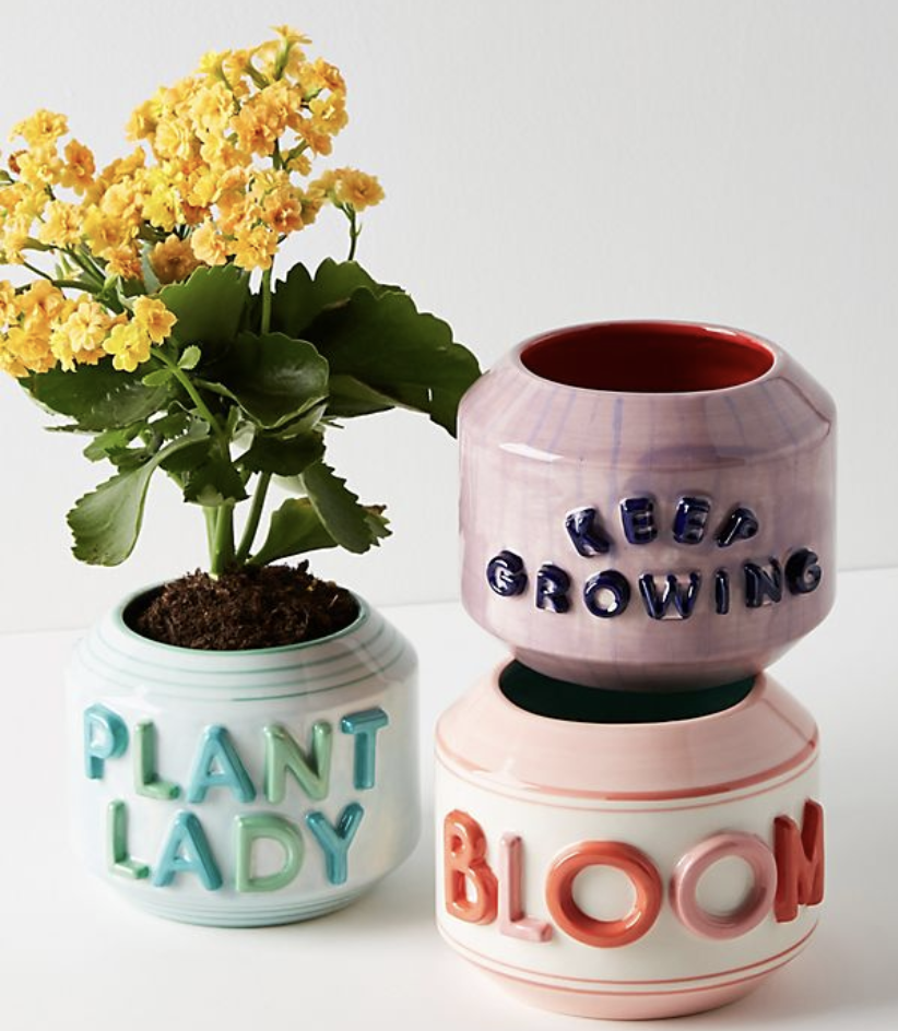 How does your garden grow? (Photo: Anthropologie)