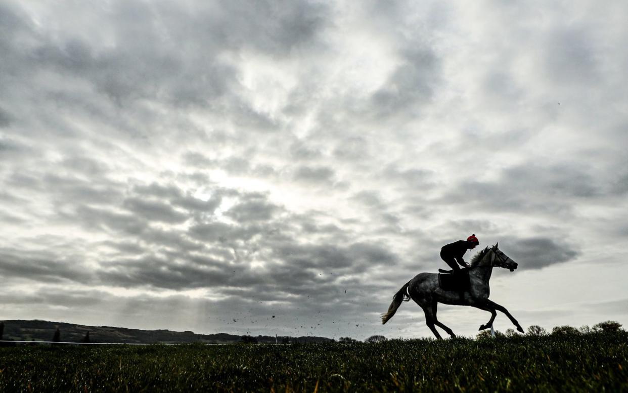 Storm clouds gather over horseracing organisation -  PA