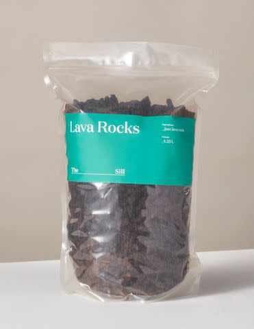 <p> <a href="https://www.thesill.com/products/lava-rocks-plant-supplies" data-component="link" data-source="inlineLink" data-type="externalLink" data-ordinal="1" rel="sponsored nofollow">The Sill</a></p>