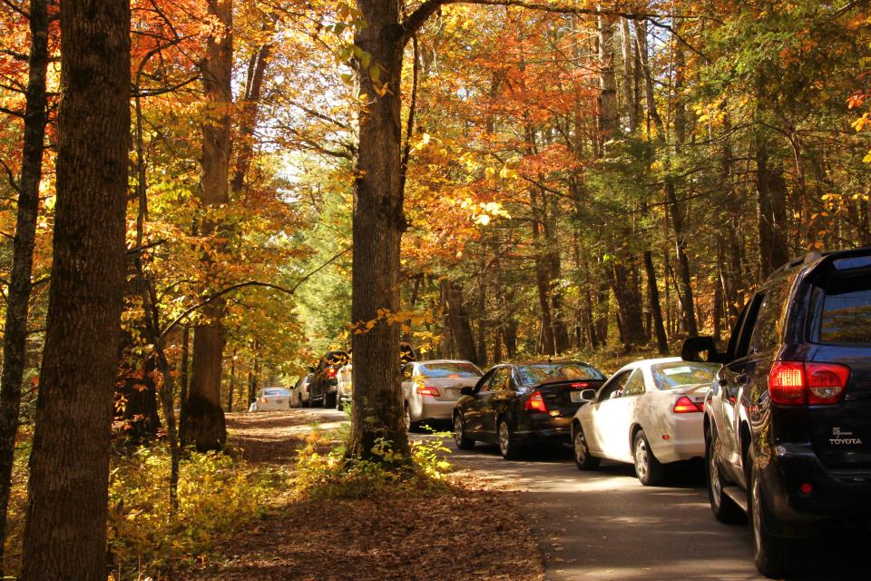 Cades Cove visitors sit in bumper-to-bumper traffic as they progress around the popular Cades Cove Loop Road. Visitors to beloved locations like this might consider timing their trip to avoid peak hours or seeking out a similar experience elsewhere in the park.