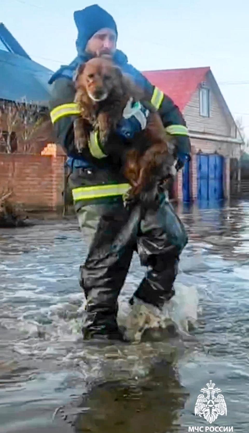 In this grab taken from a video released by the Russian Emergency Ministry Press Service on Saturday, April 6, 2024, a Russian Emergency Ministry worker carries a dog during an evacuation of local residents, after a part of a dam burst causing flooding, in Orsk, Russia. Floods hit a city in the Ural Mountains areas after a river dam burst there, prompting evacuations of hundreds of people, local authorities said. The dam breach in Orsk, a city less than 20 kilometers north of Russia's border with Kazakhstan, occurred on Friday night, according to Orsk mayor Vasily Kozupitsa. (Russian Emergency Ministry Press Service via AP)