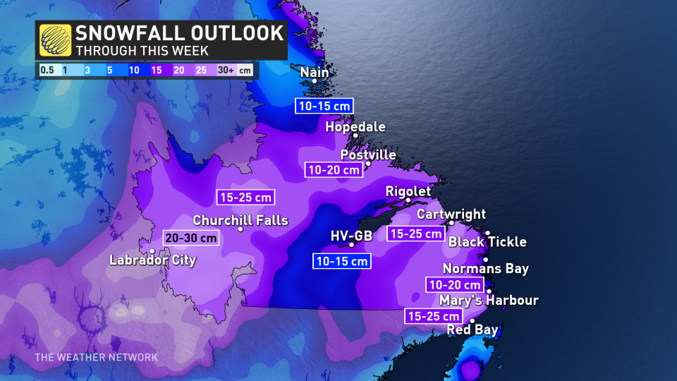 Baron - NL snow totals.jpg