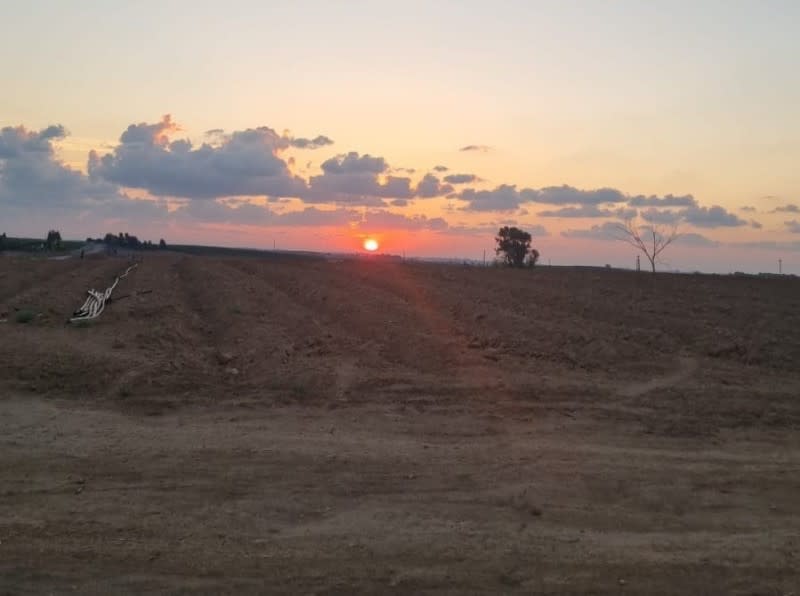 <cite>以色列集體農場Be'eri美麗的夕陽，攝於歡慶妥拉節前夕。（諾雅提供）</cite>