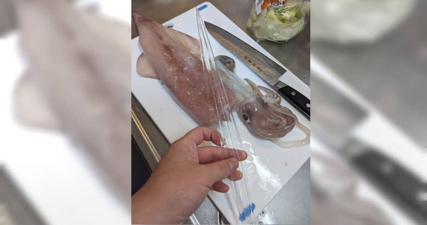 魷魚體內挖出的「塑膠透明片」，其實是牠的軟骨。（圖／翻攝自推特／@7_rate）