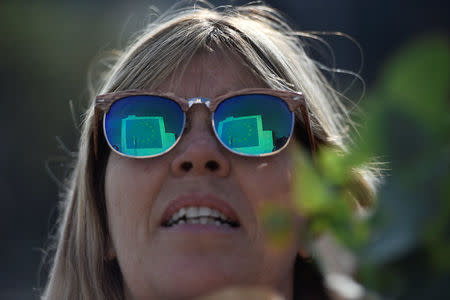 A section of an artwork attributed to street artist Banksy, depicting a workman chipping away at one of the 12 stars on the flag of the European Union, is reflected in the glasses of an onlooker in the ferry port of Dover, Britain May 7, 2017. REUTERS/Hannah McKay