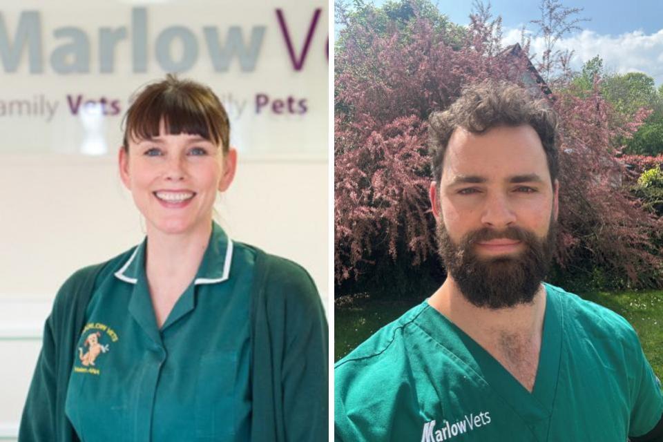 South Wales Argus: Nurse managers Helen Parry and Harry Williams have been praised for their 'outstanding' actions when trying to save a man's life following a crash in Chepstow on Tuesday