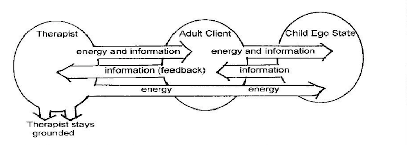 Lifespan Integration Therapy joseph origins