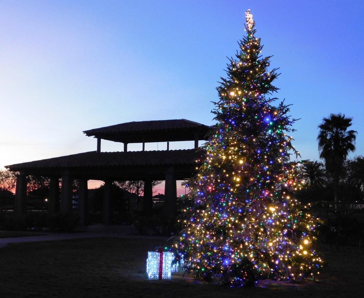 South Texas Botanical Gardens Holly Days