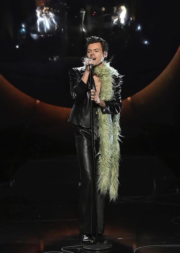 Harry Styles avec boa vert