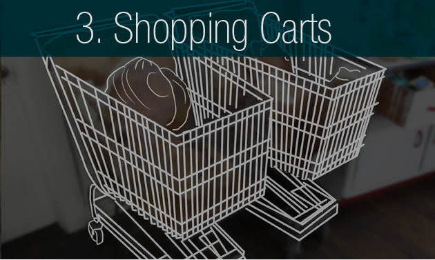 3. Shopping Carts