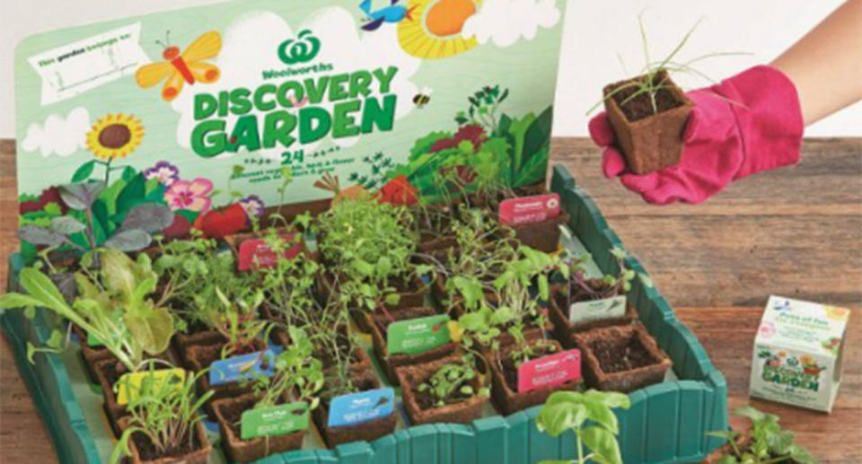 Woolworths Discovery Garden Seedling kit