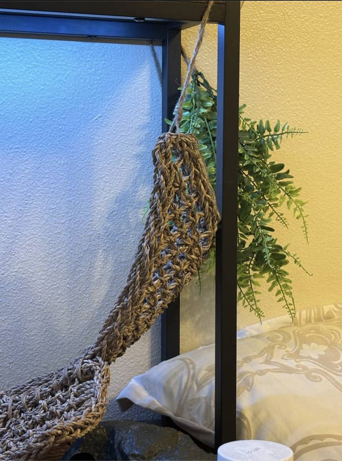 A small woven hammock is suspended beside a pillow and a potted fern