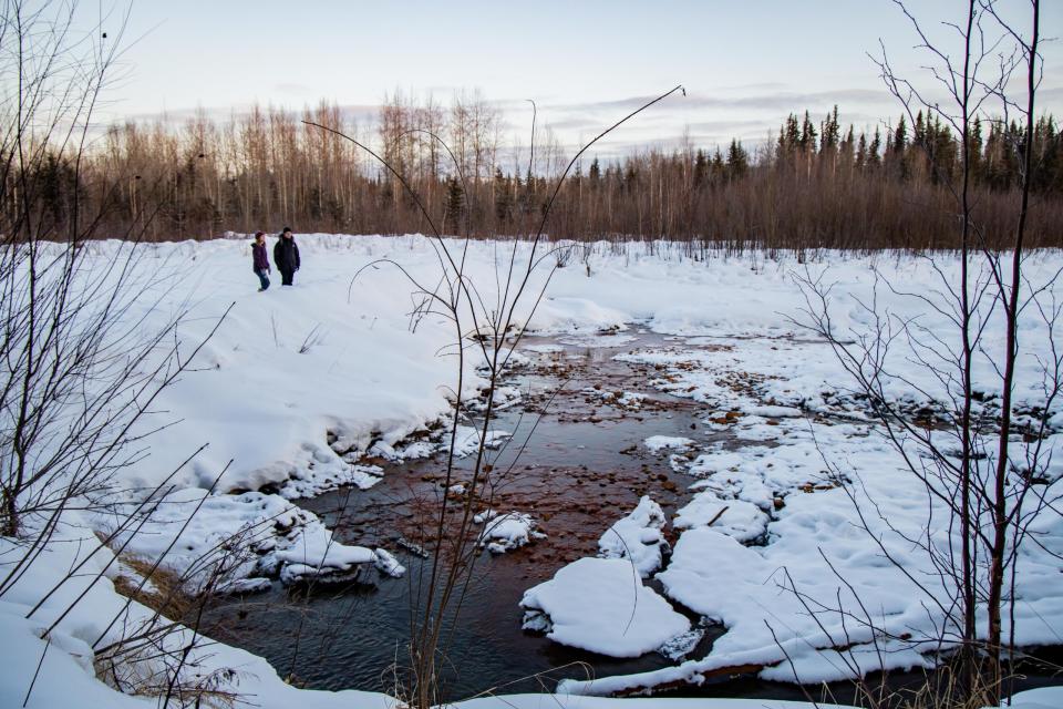 Georgia Hole, a researcher with the University of Cambridge, and Callum Pearce, an anthropologist with Anglia Ruskin University, view a snow-covered beaver dam on the Chena River in Fairbanks on Feb. 27. Hole and Pearce, both from the United Kingdom, are among the researchers involved with the Beavers and Socio-ecological Resilience in Inuit Nunangat (BARIN) project focused on Canada's Northwest Territories. (Photo by Marina Barbosa Santos/University of Alaska Fairbanks)