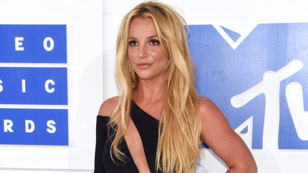 Britney Spears Poses in Zebra Bikini After Squashing Rumors About Who's ...