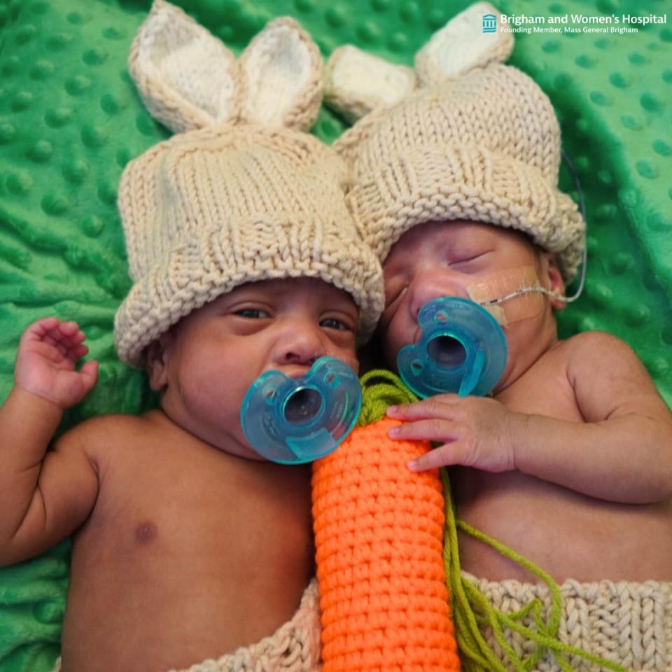 Some-bunny to love:’ Infants from Boston hospital NICU are ready for Easter and spring