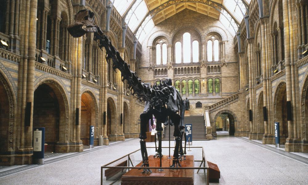 <span>Photograph: The Natural History Museum/Alamy</span>