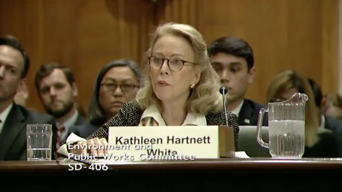 A screenshot from the live-streamed hearing, where Kathleen Hartnett White&nbsp;testified. (Photo: Senate EPW)