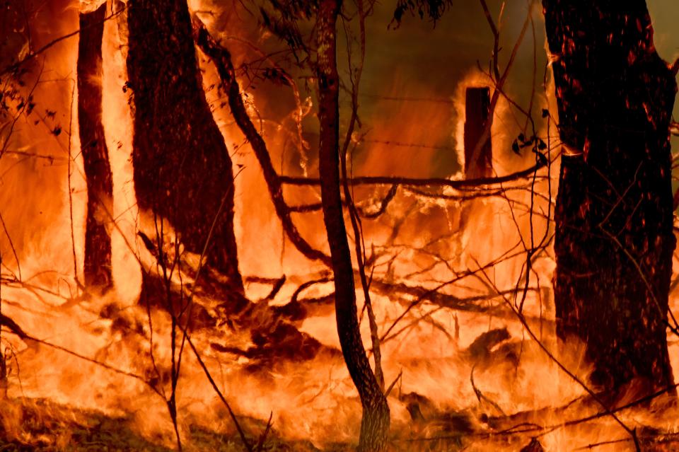 A bushfire burns outside a property near Taree, 350km north of Sydney on November 12, 2019. - A state of emergency was declared on November 11, 2019 and residents in the Sydney area were warned of "catastrophic" fire danger as Australia prepared for a fresh wave of deadly bushfires that have ravaged the drought-stricken east of the country. (Photo by PETER PARKS / AFP) (Photo by PETER PARKS/AFP via Getty Images)