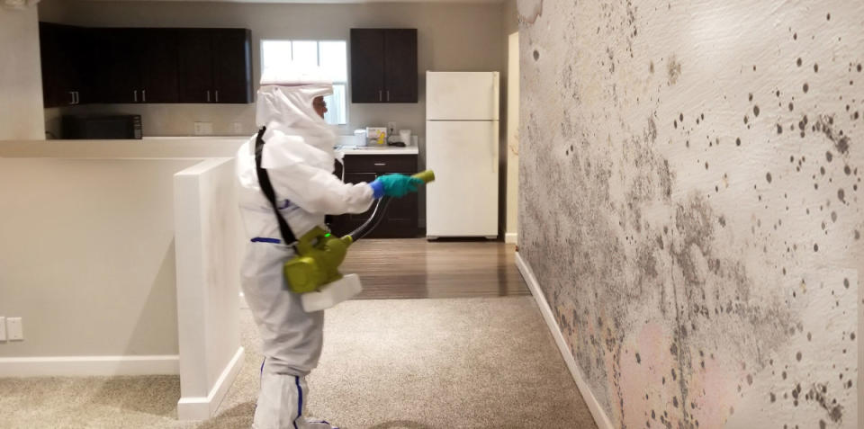 Learn how to identify mold, and learn when it's necessary to bring in professional mold inspectors.<p>PuroClean</p>