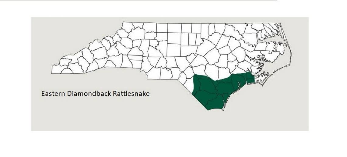 “The Eastern Diamondback Rattlesnake, the world’s largest rattlesnake species, is found in North Carolina in the southeastern Coastal Plain, primarily in long leaf pine flatwoods and sandhill habitats,” the NC Wildlife Resources Commission says.