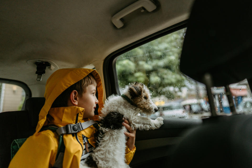 Child in a yellow raincoat holds a small dog while looking out a rainy car window