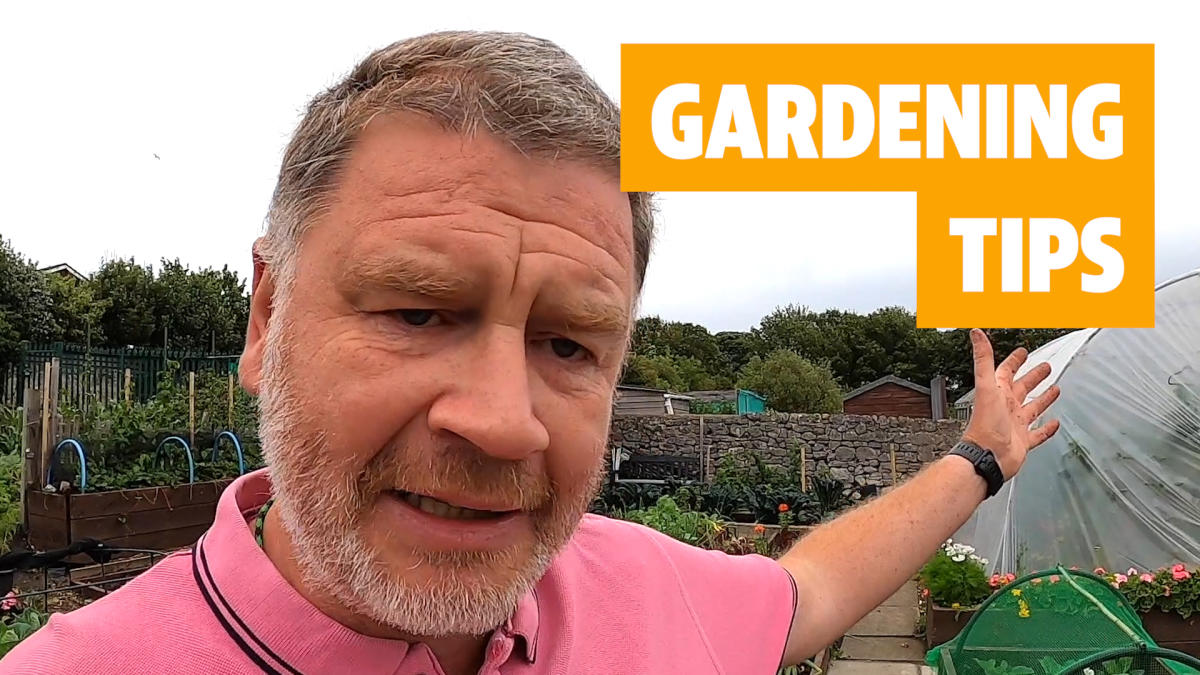 How To Grow Your Own Fruit And Veg From Scratch [video]