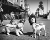 <p>Two dogs, taking an afternoon stroll on the boardwalk with their respective owners, seem quite surprised to stumble upon a provocative creation made from recycled materials by a local street artist. (© Dotan Saguy) </p>