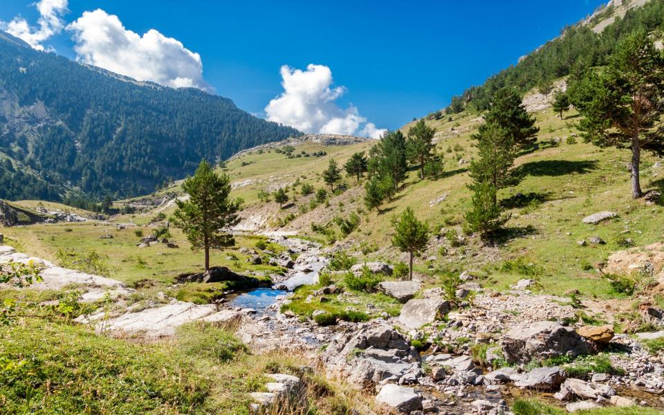 Beautiful landscape with mountain river in the Spanish Pyrenees - Pere Sanz /Alamy Stock Photo