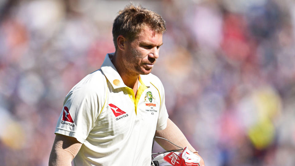 David Warner was given out after a contentious DRS incident.