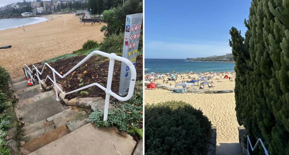 Larch trees removed near stair case at Coogee beach. 