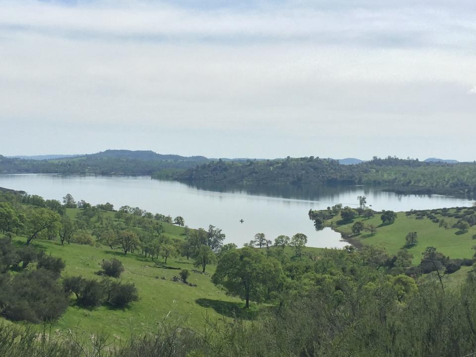 Lake Pardee Reservoir, looking southwest from Stony Creek Road.