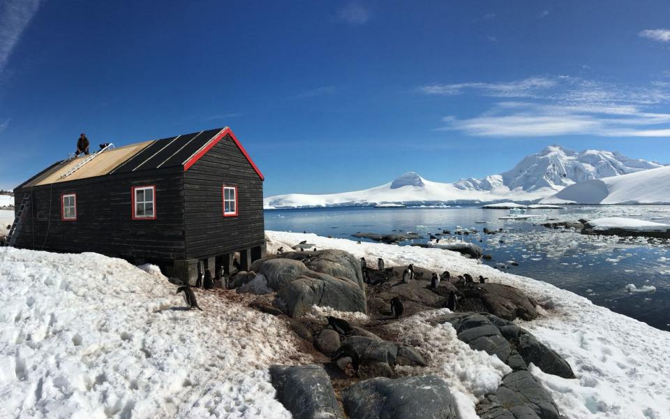 The UK Antarctic Heritage Trust, in Port Lockroy, Antarctica - PA/UK Antarctic Heritage Trust 