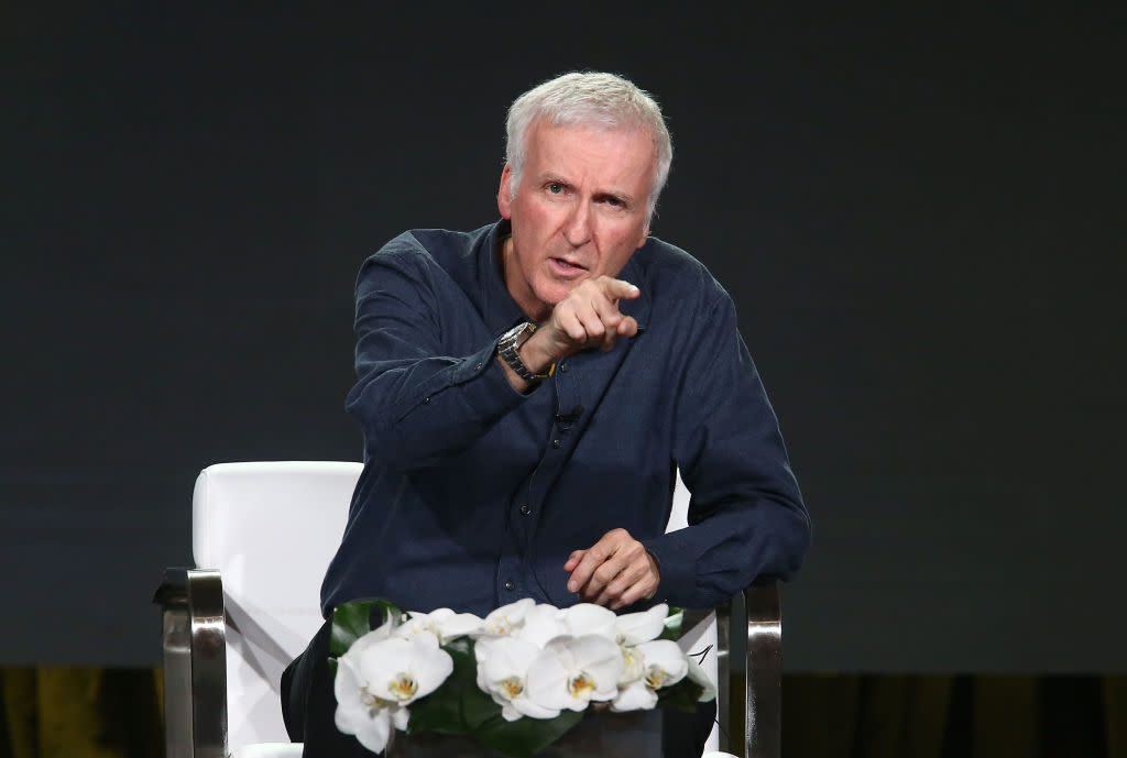 Director James Cameron of the television show AMC Visionaries: James Cameron's Story of Science Fiction speaks onstage during the AMC portion of the 2018 Winter Television Critics Association Press Tour on January 13, 2018 in Pasadena, California