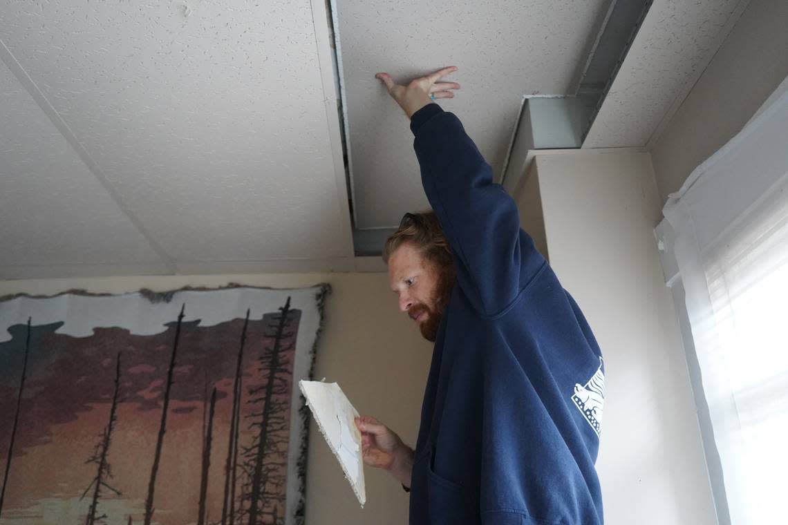 Aidan Hersh lifts up the drop ceiling in his rental unit at 1210 Ellis Street on Sept. 27, 2023, in Bellingham, Wash. He holds a broken ceiling piece.