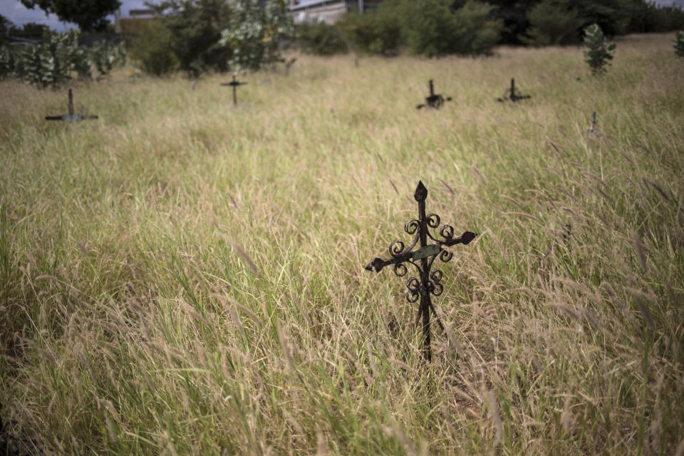 Crosses mark graves amid overgrown grass at Corazon de Jesus cemetery in Maracaibo, Venezuela, Nov. 21, 2019. Thieves often raid graves for valuables, while public cemeteries often go abandoned, overgrown with weeds. (AP Photo/Rodrigo Abd)