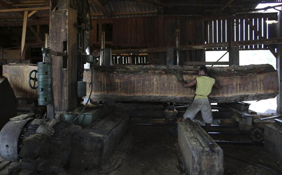 File photo of a sawmill worker processing trees illegally extracted from the Amazon jungle near the city of Morais Almeida