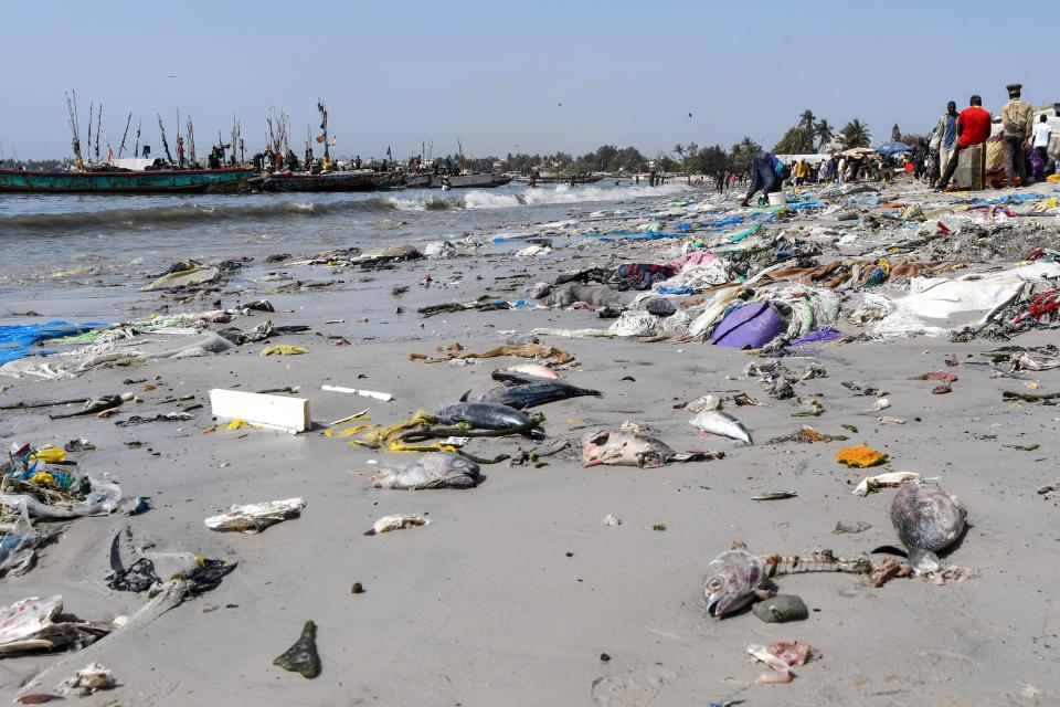 People walk near plastic waste and dead fishes in Senegal earlier this week  (SEYLLOU/AFP/Getty Images)