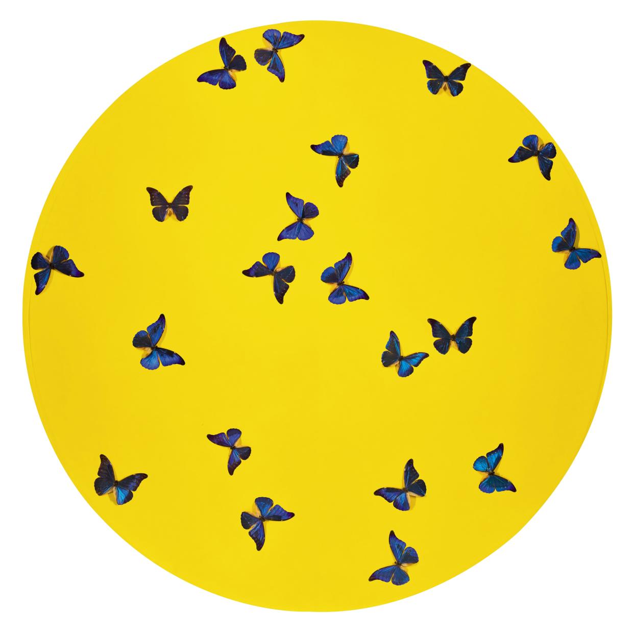 Smashing yellow ball at peace, 2008, Damien Hirst