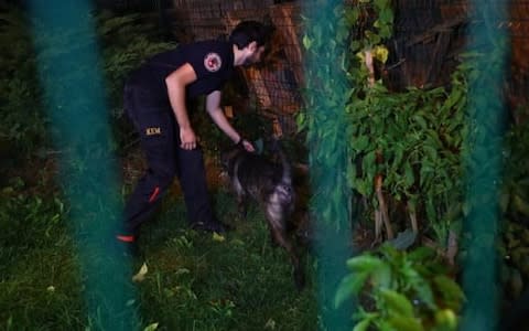 Turkish forensic officers use a search and rescue dog to investigate the Saudi consul’s residence.  - Credit: Sedat Suna/EPA