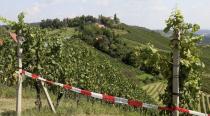 A police line blocks the Tscheppe vineyard in Sulztal an der Weinstrasse, Austria, Saturday, Aug. 18, 2018 where the wedding of Austria's Foreign Minister Karin Kneissl and Wolfgang Meilinger takes place. Russian President Vladimir Putin is expected as a guest. (AP Photo/Ronald Zak)