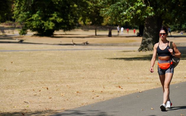 A visitor to London's Regents Park walks past a portion of parched parkland. (Photo: XXXXX via PA Wire/PA Images)