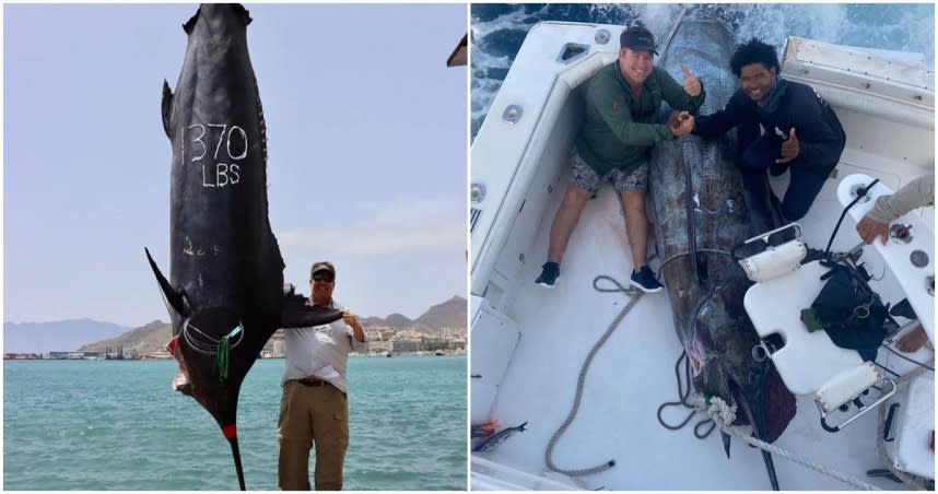 漁民捕到一條超大621公斤藍槍魚，是大西洋第二大。（圖／翻攝pulsatorlures IG，下同）