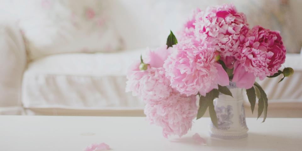 12 Facts Every Peony Enthusiast Needs to Know