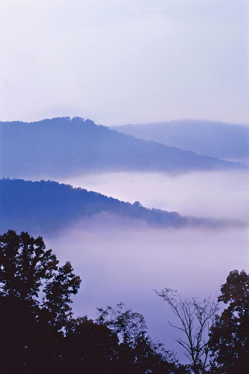 Abundant overlooks offer views of mist-shrouded mountains along the parkway.