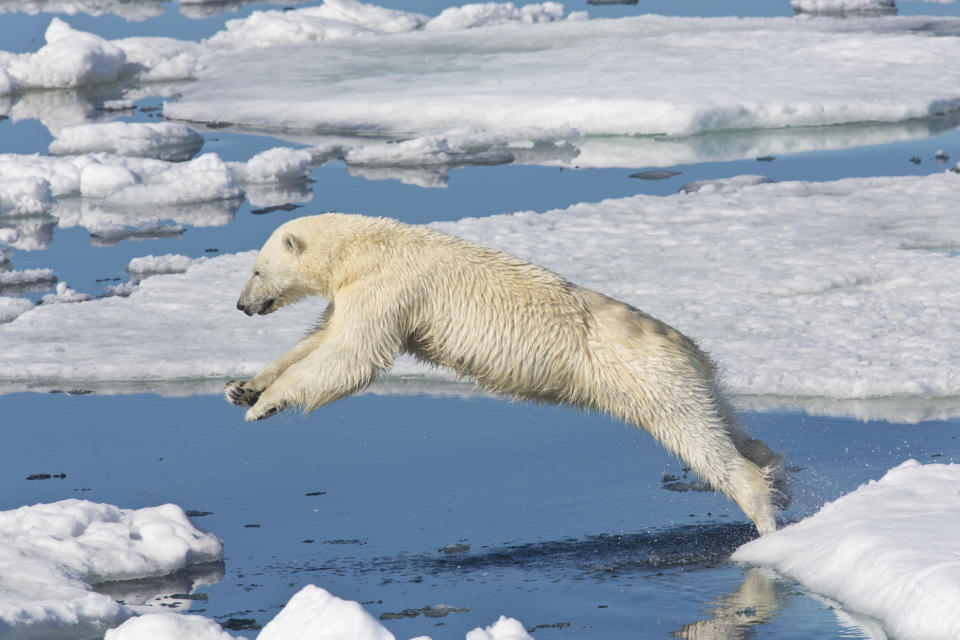 Spitsbergen, Norway