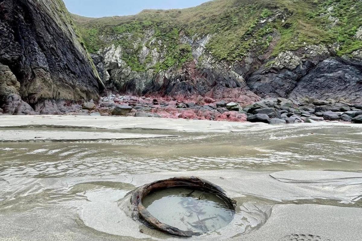 The public is being urged to proceed with caution as the tides have exposed the WW2 mines which may be sharp. <i>(Image: Pembrokeshire Coast National Park Authority)</i>