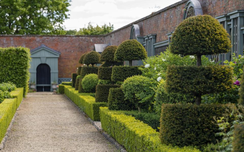 A view of the walled garden - andrew crowley