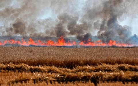 A burning field near the Israeli Kibbutz of Mefallesim, along the border with the Gaza Strip - Credit: AHMAD GHARABLI / AFP