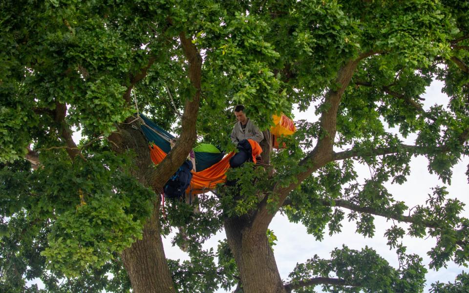 An activist sits in a hammock in the tree in Peterborough - Terry Harris