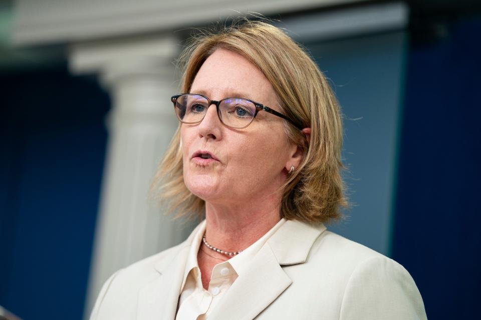 Federal Emergency Management Agency administrator Deanne Criswell speaks during a briefing on the Maui wildfires at the White House, Wednesday, Aug. 16, 2023, in Washington.